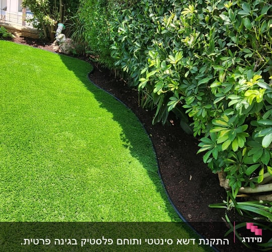 דשא ירוק וגדר חיה מטופחת בגינה